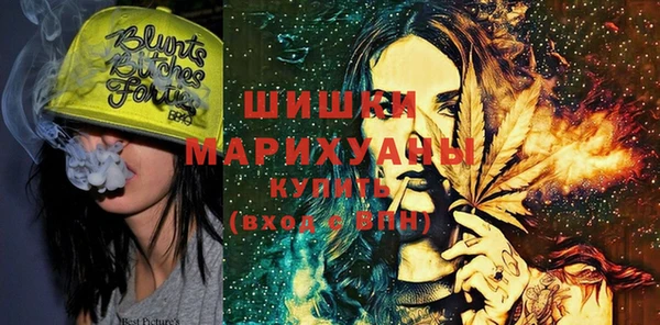 молекула духа Алексин