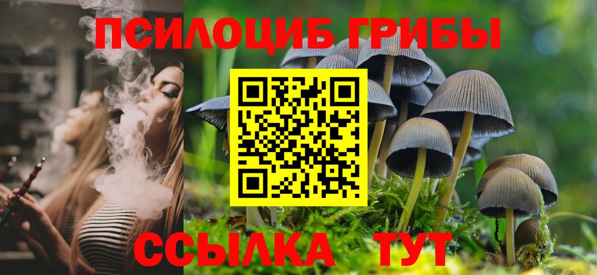 Галлюциногенные грибы GOLDEN TEACHER Ейск
