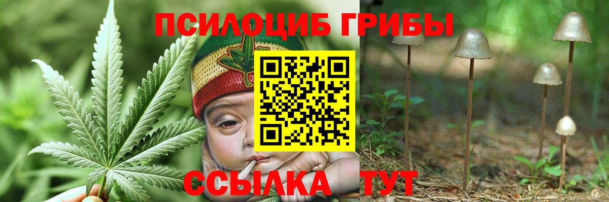 Псилоцибиновые грибы прущие грибы  Вход с VPN  Ейск 